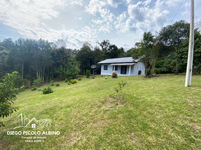 #D059DP - Sítio para Venda em Doutor Pedrinho - SC - 2
