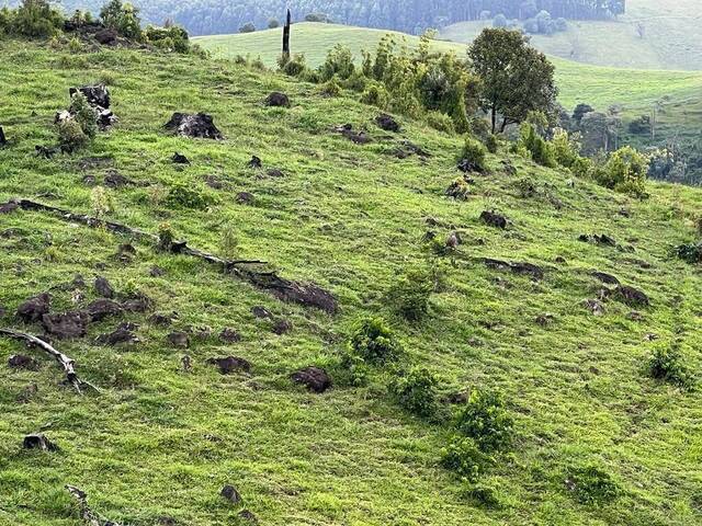 #D0166CEL - Fazenda para Venda em Coronel Domingos Soares - PR - 3
