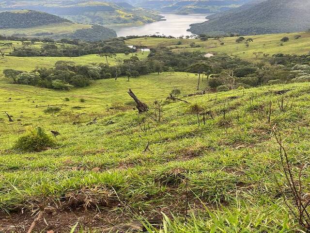 #D0166CEL - Fazenda para Venda em Coronel Domingos Soares - PR - 1