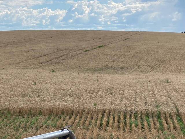 #D0165HS - Fazenda para Venda em Honório Serpa - PR - 2