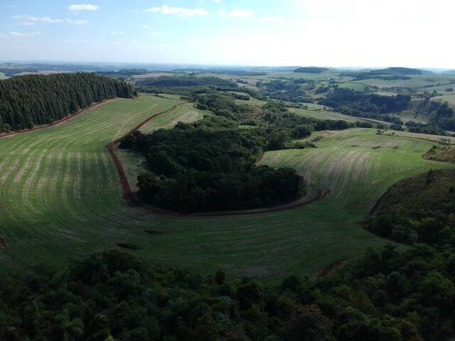 #D0165HS - Fazenda para Venda em Honório Serpa - PR - 1