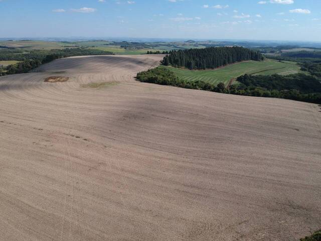 #D0165HS - Fazenda para Venda em Honório Serpa - PR - 3