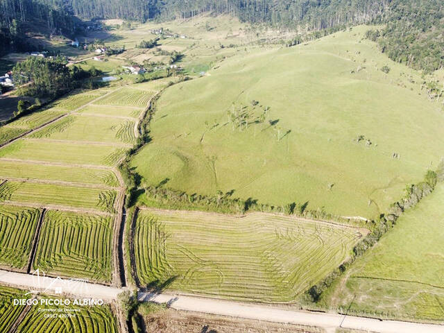 #D0183dp - Fazenda para Venda em Doutor Pedrinho - SC - 2