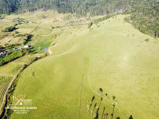 #D0183dp - Fazenda para Venda em Doutor Pedrinho - SC - 3