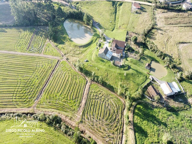 #D0183dp - Fazenda para Venda em Doutor Pedrinho - SC - 1