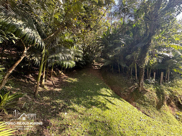 #D0185RC - Sítio para Venda em Rio dos Cedros - SC - 3