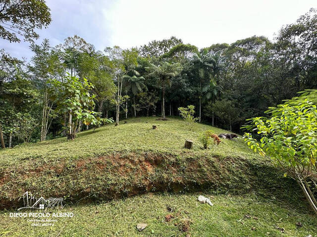 #D0189TB - Sítio para Venda em Timbó - SC - 3