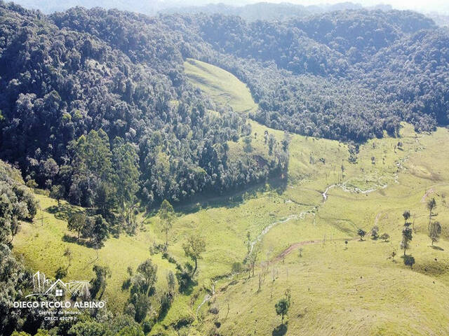 #D008RC - Fazenda para Venda em Rio dos Cedros - SC - 2
