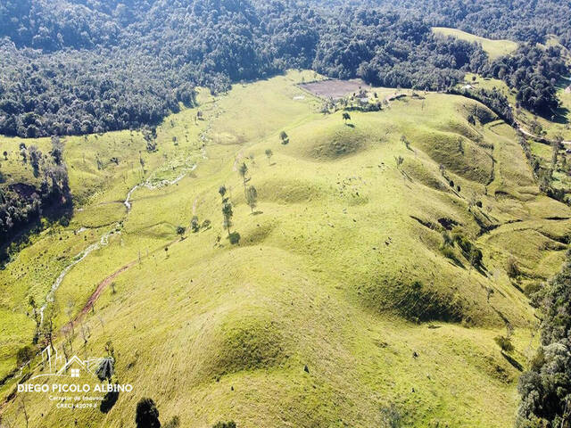 #D008RC - Fazenda para Venda em Rio dos Cedros - SC - 3