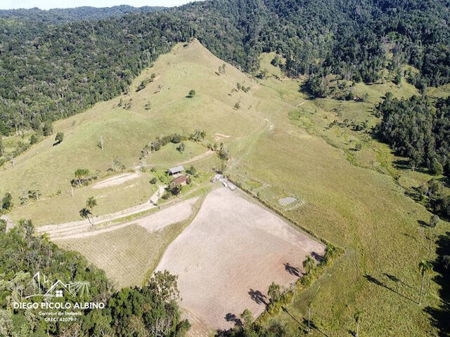 #D008RC - Fazenda para Venda em Rio dos Cedros - SC - 1
