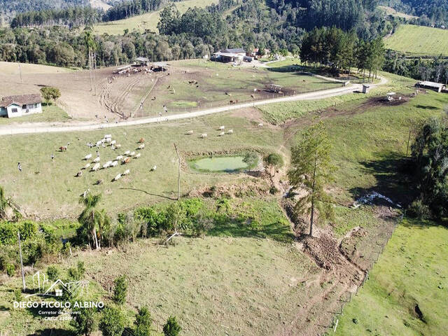#D0199PP - Fazenda para Venda em Papanduva - SC - 1