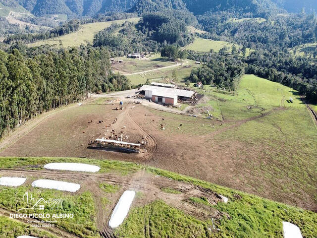 #D0199PP - Fazenda para Venda em Papanduva - SC - 2