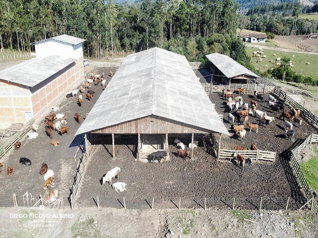 #D0199PP - Fazenda para Venda em Papanduva - SC - 3