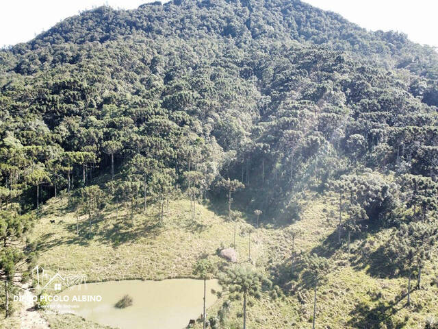 #D0202RO - Sítio para Venda em Rodeio - SC - 3