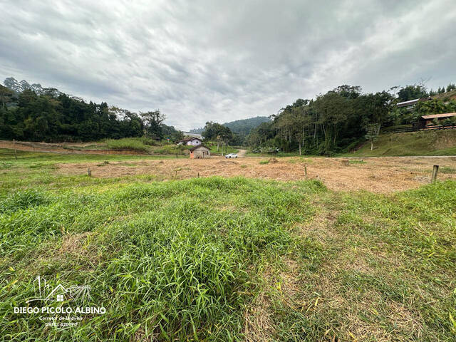#D0203RO - Sítio para Venda em Rodeio - SC - 2