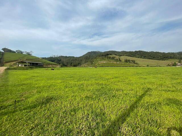 #D0217AS - Casa de Campo para Venda em Ascurra - SC - 2