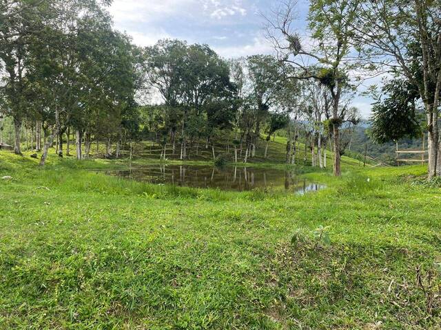 #D0217AS - Casa de Campo para Venda em Ascurra - SC - 3