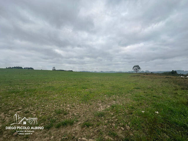#D0224RC - Chácara para Venda em Rio do Campo - SC - 2