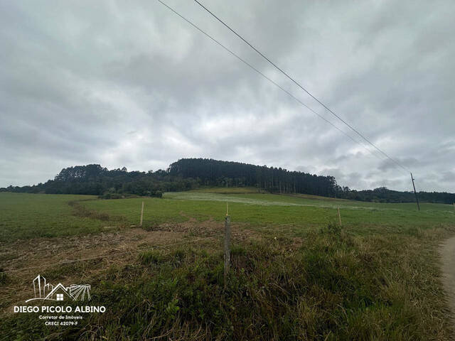 #D0224RC - Chácara para Venda em Rio do Campo - SC - 3