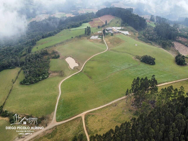 #D0224RC - Chácara para Venda em Rio do Campo - SC - 1
