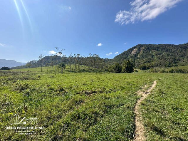 #D0239RO - Sítio para Venda em Rodeio - SC - 3