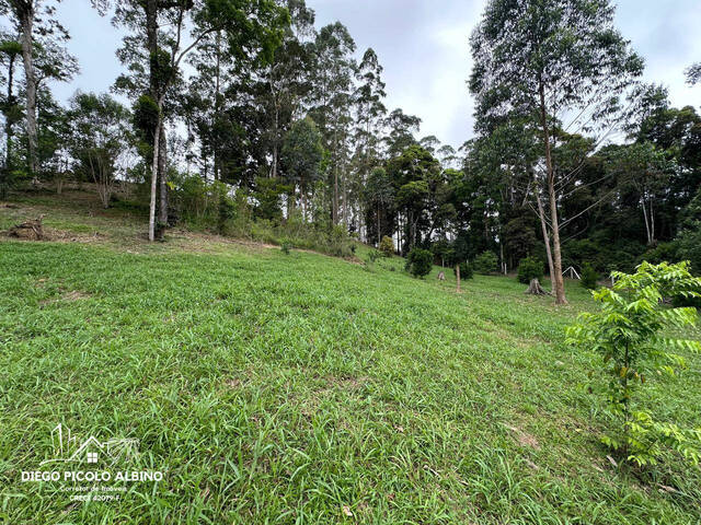 #D0246DP - Sítio para Venda em Doutor Pedrinho - SC