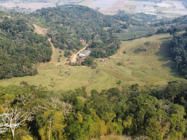 #D0247RC - Sítio para Venda em Rio dos Cedros - SC - 2