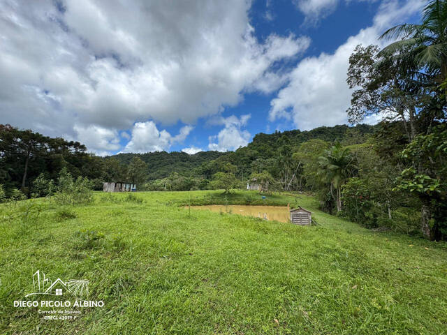 #D0253RO - Sítio para Venda em Rodeio - SC - 3