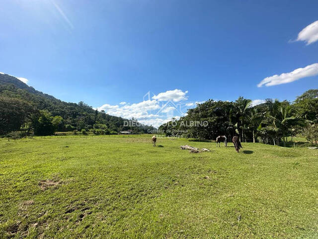 #D090TB - Sítio para Venda em Timbó - SC - 2