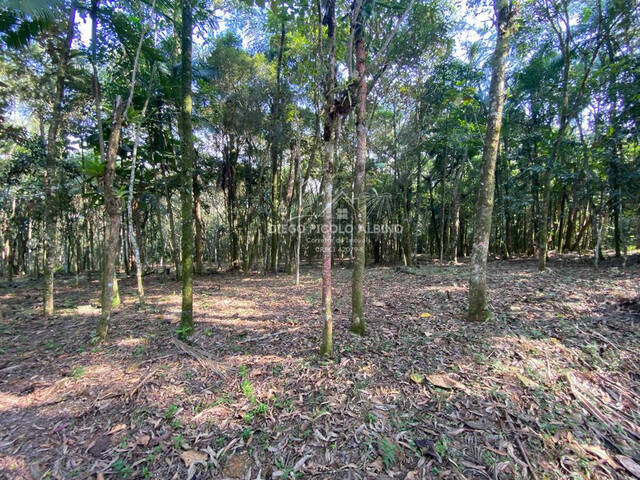 #D037RC - Sítio para Venda em Rio dos Cedros - SC - 1