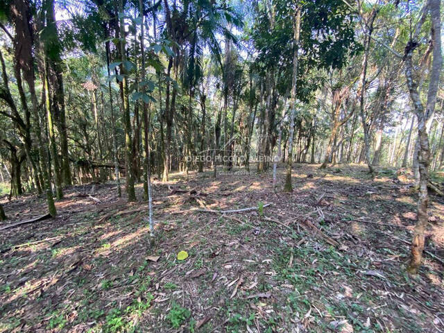 #D037RC - Sítio para Venda em Rio dos Cedros - SC - 2