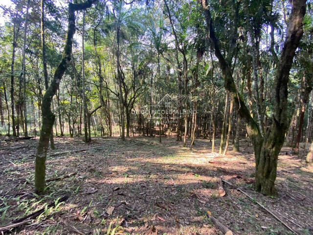 #D037RC - Sítio para Venda em Rio dos Cedros - SC - 3