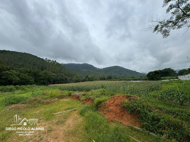#D0257RC - Sítio para Venda em Rio dos Cedros - SC - 1