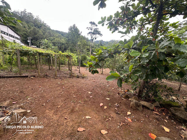 #D0261RO - Casa para Venda em Rodeio - SC - 2