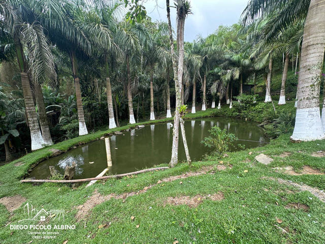 #D0276TB - Sítio para Venda em Timbó - SC - 1