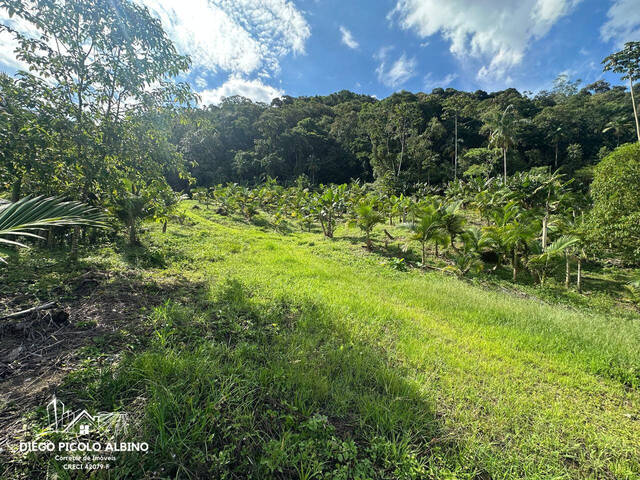 #D0279RC - Sítio para Venda em Rio dos Cedros - SC