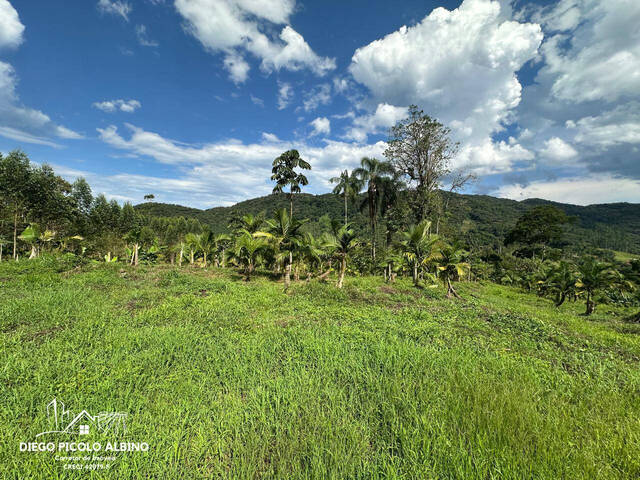 #D0279RC - Sítio para Venda em Rio dos Cedros - SC - 3