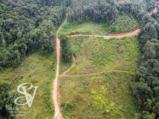 #D0286BN - Sítio para Venda em Benedito Novo - SC - 1