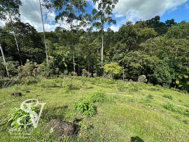 #D0289TB - Sítio para Venda em Timbó - SC - 1
