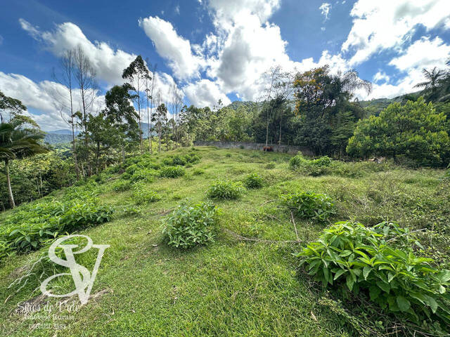 #D0289TB - Sítio para Venda em Timbó - SC - 2
