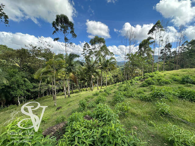 #D0289TB - Sítio para Venda em Timbó - SC - 3