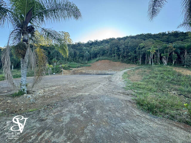  para  em  - 5