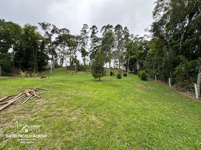 #D0246DP - Chácara para Venda em Doutor Pedrinho - SC - 2