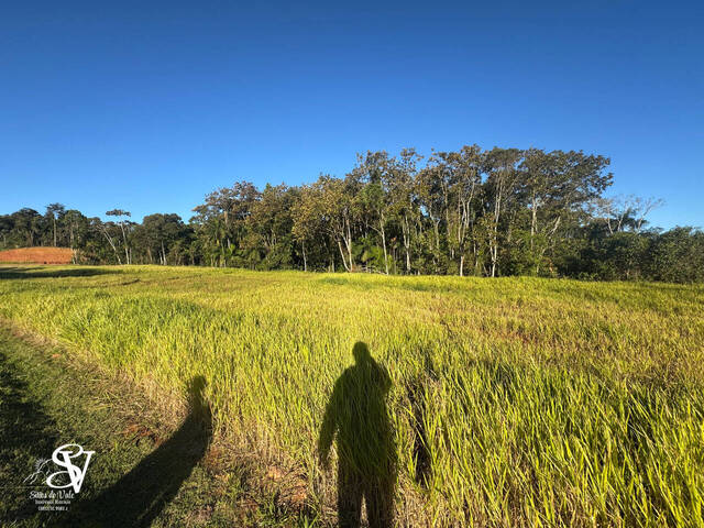 #D0318TB - Terreno para Venda em Timbó - SC - 3