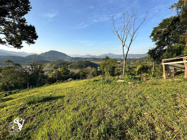 #D0325TB - Área para Venda em Timbó - SC - 1