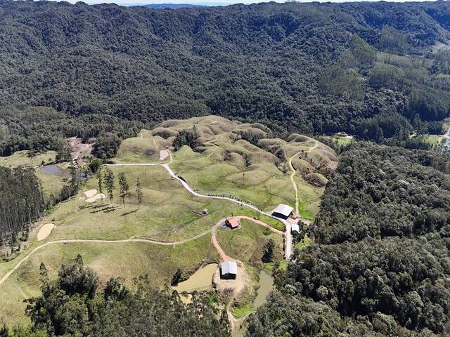 #D0327DP - Fazenda para Venda em Doutor Pedrinho - SC - 1
