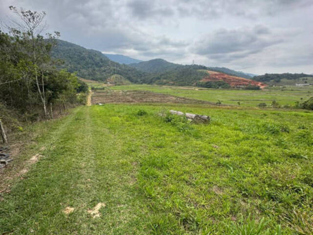 #D0332AS - Área para Venda em Ascurra - SC - 3