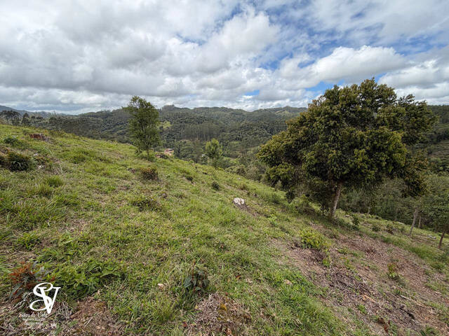 #D0337DP - Área para Venda em Doutor Pedrinho - SC - 3