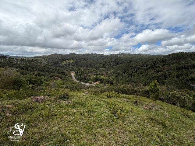 #D0337DP - Área para Venda em Doutor Pedrinho - SC - 1