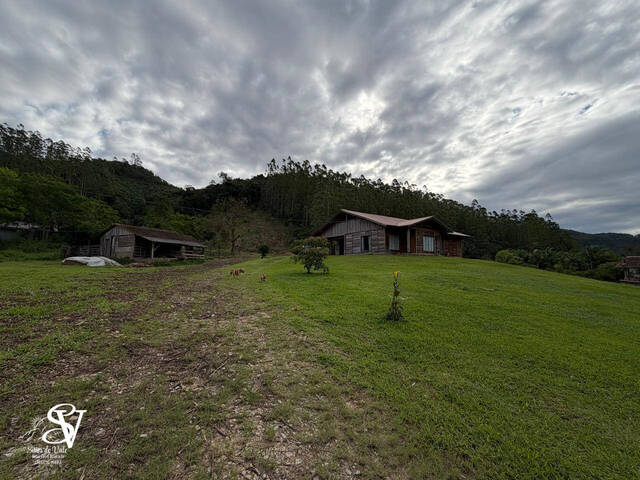 #D0342AP - Chácara para Venda em Apiúna - SC - 3